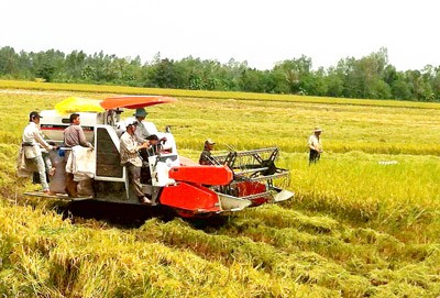 Hàn Quốc chia sẻ công nghệ trong sản xuất nông nghiệp với Việt Nam  - ảnh 1